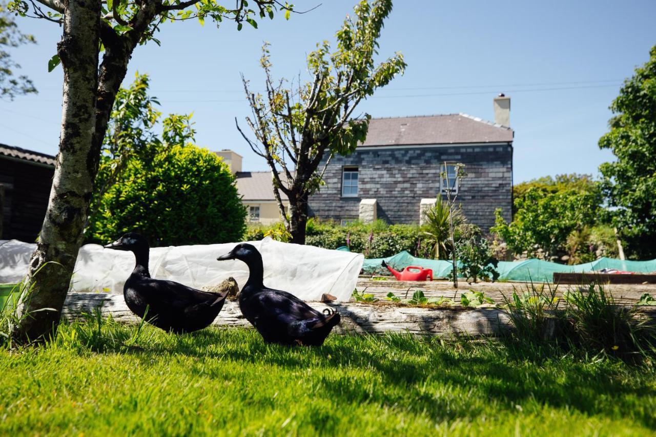 Penrhiw Farm B & B Goodwick Exterior photo